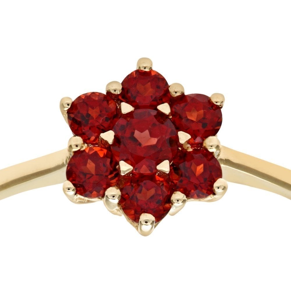 9ct Yellow Gold Garnet Cluster Ring