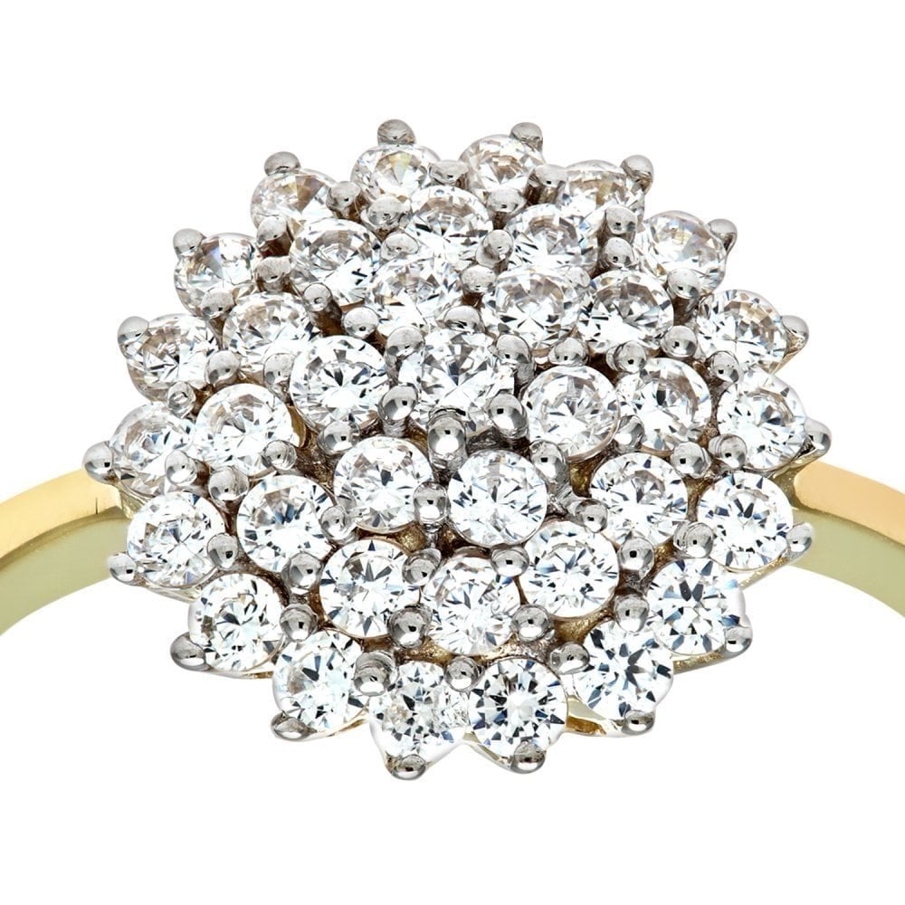 9ct Yellow and White Gold Cluster Ring