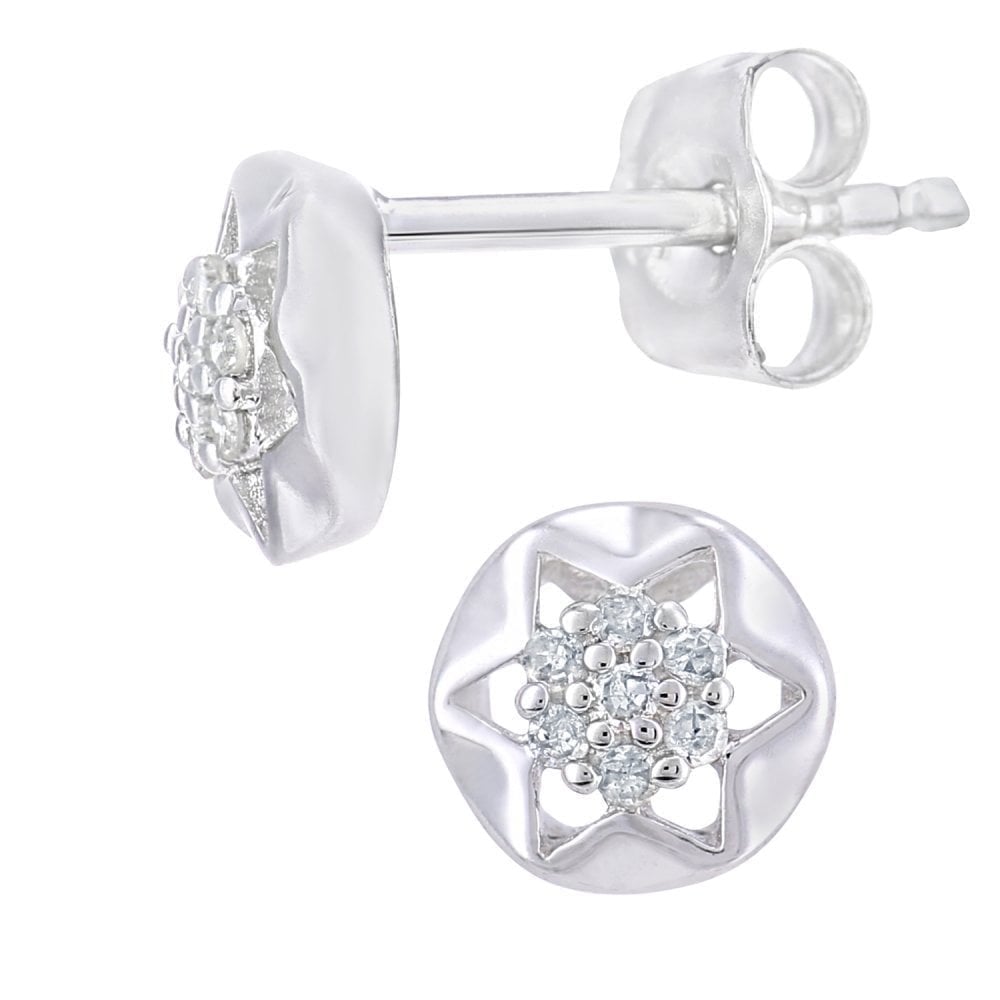 9ct White Gold Natural Diamond Stud Earrings