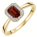 9ct Yellow Gold Octagon Garnet and 0.08ct Diamond Cluster Ring