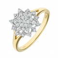 9ct Gold 0.30 Carat Natural Diamond Cluster Ring