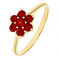 9ct Yellow Gold Garnet Cluster Ring