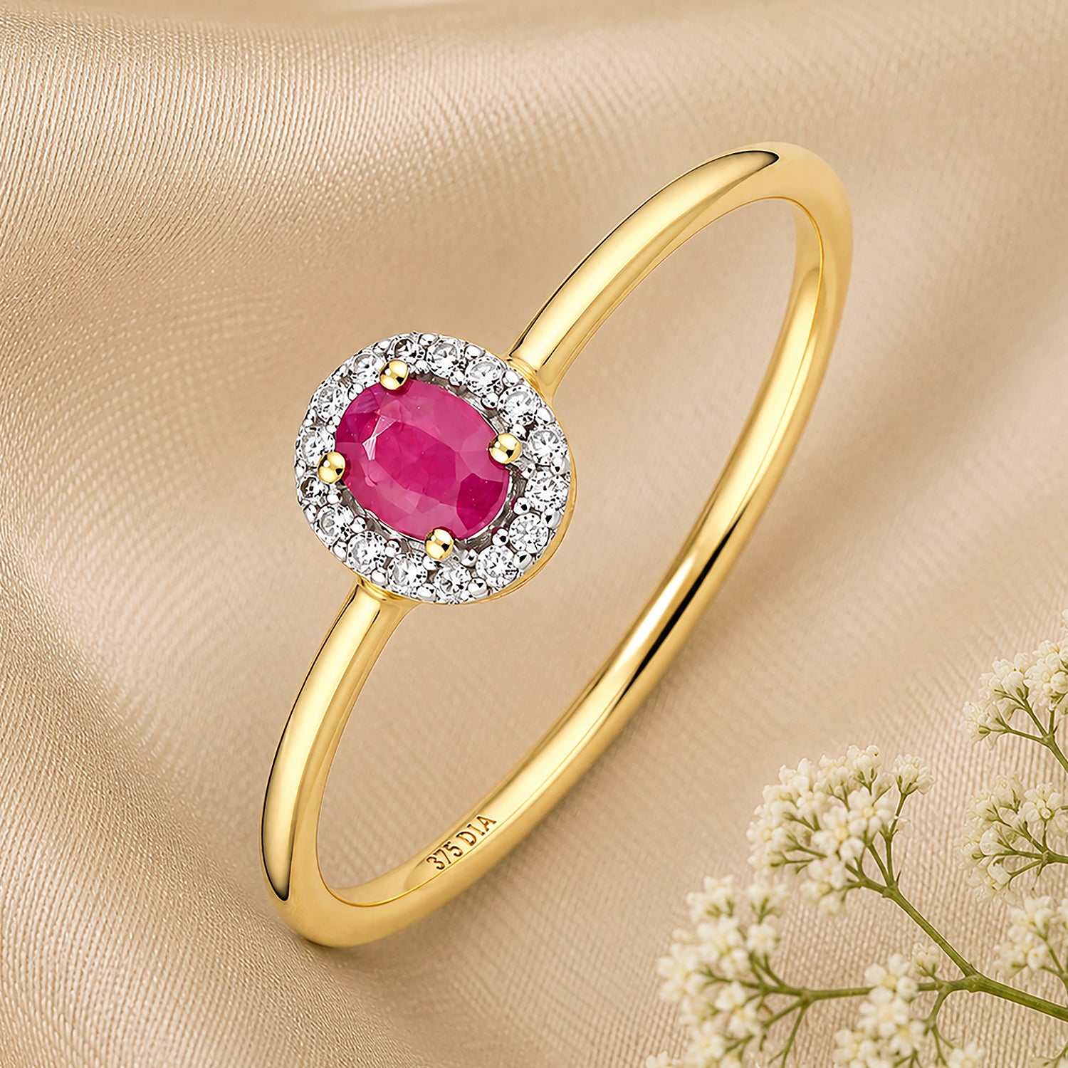 9ct Yellow Gold Ruby and Diamonds Halo Ring