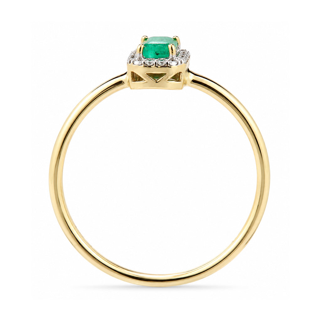 9ct Yellow Gold Emerald and Diamond Halo Ring